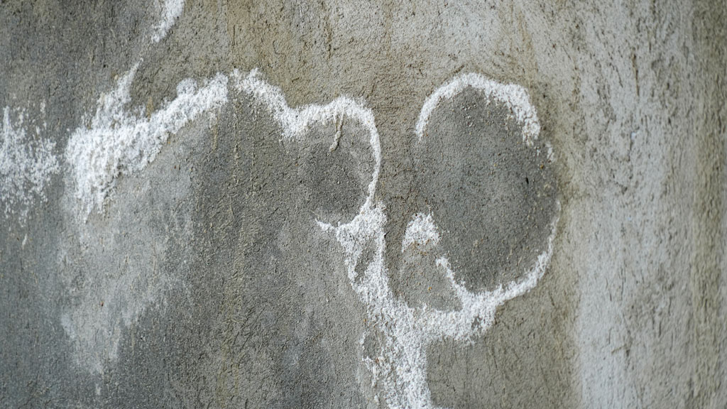 Inspection d'une zone de dalle près d'un mur de fondation pour détecter l'efflorescence